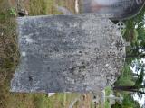 image number DSC_6254